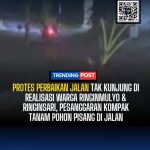 Protes Perbaikan Jalan Tak Kunjung di realisasi Warga Ringinmulyo & Ringinsari, Pesanggaran Kompak Tanam Pohon Pisang di jalan