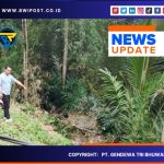 Aksi Penebangan Pohon Ilegal di Kawasan Sempadan Saluran Irigasi Sekunder: Kegagalan Pengawasan dan Penegakan Hukum